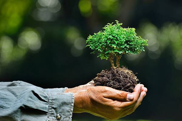 環(huán)境影響評價制度的積極作用